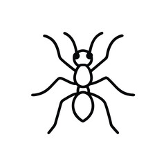 Obraz premium Hand drawn simple line art ant insect illustration