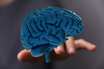 High-quality image of a 3D human brain model gently held in a hand. Perfect for neurology,...