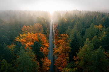 Fototapety na wymiar - Fototapeta24.pl