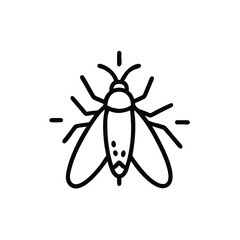 Hand drawn line art insect fly bug pest vector illustration