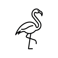 Hand drawn flamingo line art illustration tropical bird