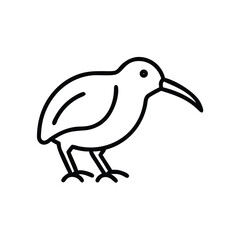 Hand drawn kiwi bird line art illustration icon