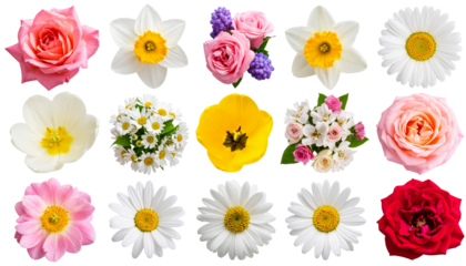 Mixed flower elements (roses, tulips, daisies) in separate cutouts, different angles