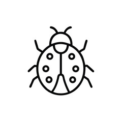 Hand drawn ladybug line art icon insect illustration