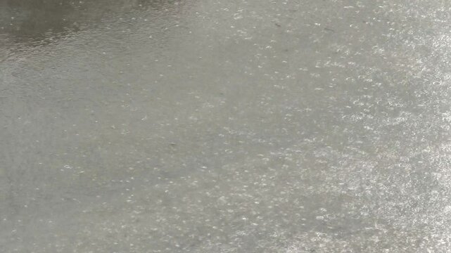 A big puddle from the rain, a typhoon is starting, the wind has brought a cyclone. The weather is rainy, raindrops on the water.