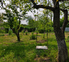Naklejka premium Wooden swing hanging on an old tree in a sunny green backyard garden with wildflowers.