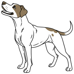 Fototapeta premium vector illustration of a dog