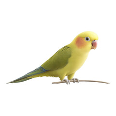 Vibrant yellow parrot with green wings and cheerful expression perched on thin branch, showcasing its colorful plumage and lively demeanor