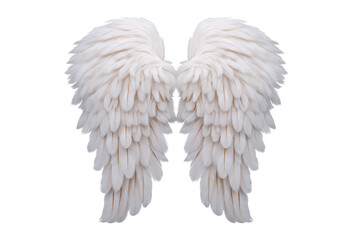 Fototapeta premium Pair of large, fluffy white angel wings with detailed feathers, symbolizing purity and spirituality, isolated on transparency background