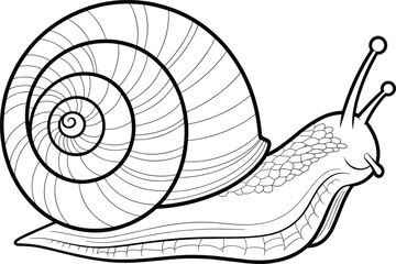 Obraz premium Detailed Snail Illustration with Intricate Shell Pattern, Black and White Outline for Nature and Educational Designs