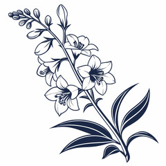 vector illustration of white angelonias