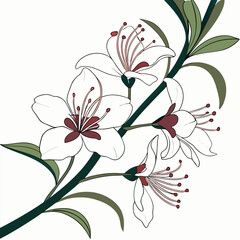 abstract floral background with white angelonias