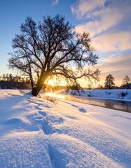 Obraz premium Serene Summer Landscapes, winter landscape with trees and snow.