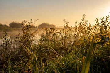 Across an autumn field. A thin river sparkles in the first rays of the sun. October pre-dawn time.