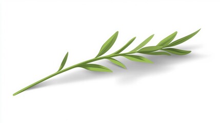 Fototapeta premium Single cartoon tarragon leaf vector isolated with shadow on white background