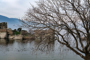 small island with historical ruins at Bafa Lake, dry tree, volcanic rock formation on waterfront