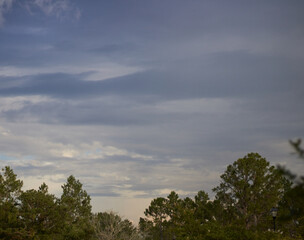 Dark gray storm clouds rolling in on a summers afternoon in southern USA!