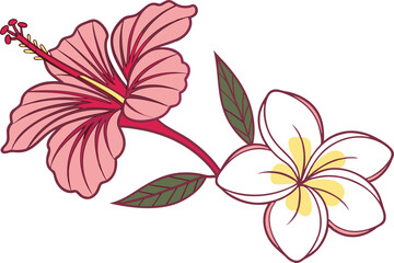Tropical Hibiscus and Plumeria Flower Illustration with Bright Colors. Exotic Hibiscus and Plumeria Bloom Design for Summer Themes. Colorful Floral Art Featuring Tropical Hibiscus and Plumeria Flowers