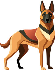 Belgian Malinois dog 