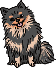 ポメラニアン　Pomeranian　カラー　犬のイラスト