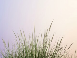 Fototapeta premium Minimalistische Komposition mit Schwerpunkt auf natürlichen Elementen. Weiche, pastellige Farben dominieren den Hintergrund