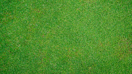 Green grass pattern and texture for background, top view background of garden bright grass concept.