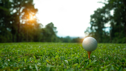 Golf ball on green grass in the evening golf course with sunshine background.