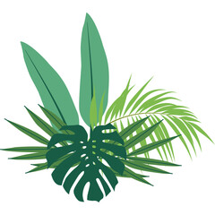 Tropical Leaves Illustration
