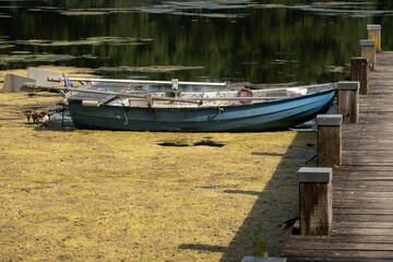 Old blue rowing boat moored on a lake covered with algae next to a wooden pier