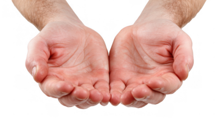 Two open hands showing empty palms, cupped together as if holding something, isolated on a transparent background, providing a versatile image for various concepts