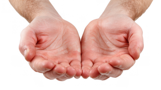 Two open hands showing empty palms, cupped together as if holding something, isolated on a transparent background, providing a versatile image for various concepts