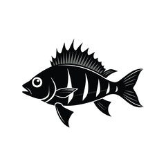 Striped Spiny Fish Illustration A Black and White Vector Graphic