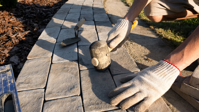 Laying paving stones on cement mortar. Laying a garden path made of tiles. Self-laying of concrete paving slabs in the courtyard of the house. do it yourself. DIY