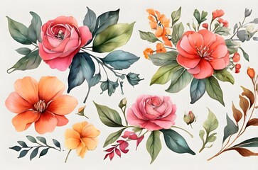Flowers and leaves set, floral watercolor illustration for greeting card