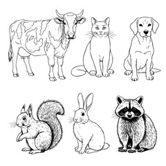 Naklejka premium Types of Animals Hand Drawn Sketch in one Picture, on a Transparent Isolated PNG Background