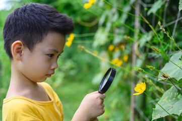 Young asian boy holding magnifying glass stands looking flower in backyard with sweating on his...