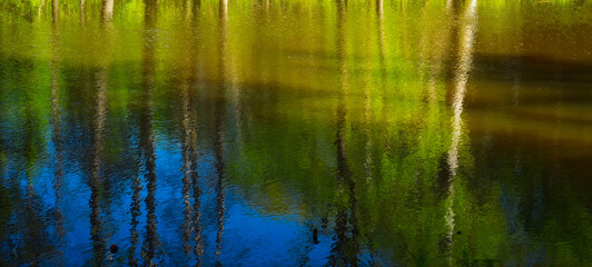 Abstract view of tree trunk reflections in water in a northeast Ohio park in early spring, framed to resemble an impressionistic painting