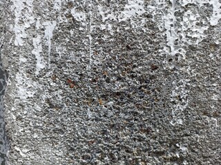 Rough Concrete Wall with Peeling White Paint Texture. Close-up of rough concrete wall with peeling white paint and gritty texture. Ideal for grunge backgrounds or urban decay themes