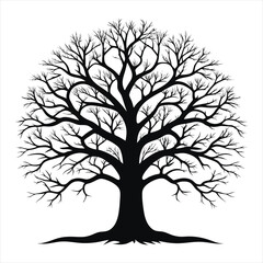 Black Silhouette Bare Tree Outline Clipart Vector
