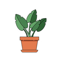 Fototapeta premium Potted plant with green leaves in a terracotta pot on transparent background. Indoor greenery illustration for home decoration.