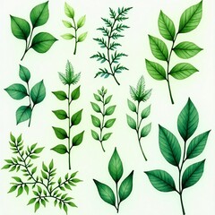 green leaves background