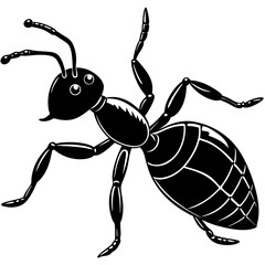 vector illustration of a spider