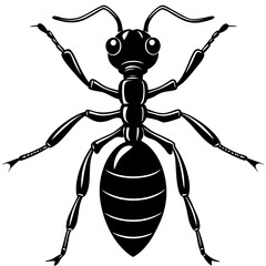 black spider vector illustration