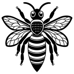 black and white butterfly