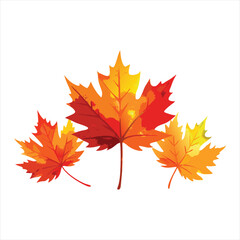 Fototapeta premium Vibrant Autumn Maple Leaves Clipart Vector