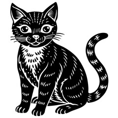 black and white cat