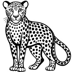 leopard vector illustration