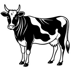black and white cow