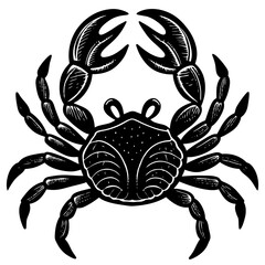 vector illustration of a crab