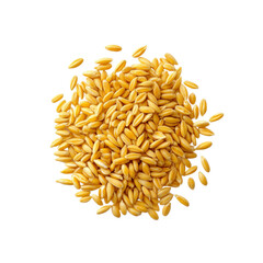 Obraz premium Heap of Golden Oat Grains Isolated on Black Background